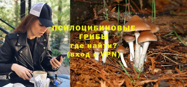 герыч Ельня