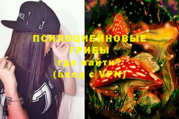 герыч Ельня