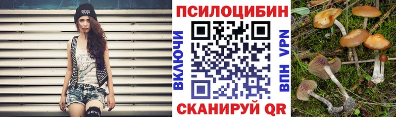 Галлюциногенные грибы Psilocybine cubensis  Альметьевск 