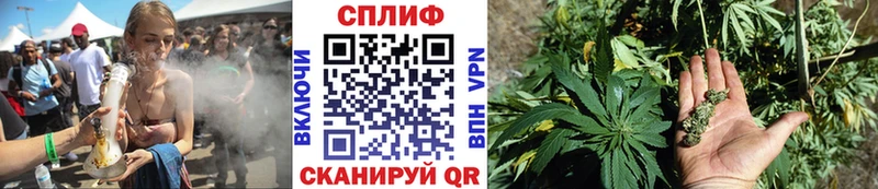 продажа наркотиков  Альметьевск  МАРИХУАНА SATIVA & INDICA 